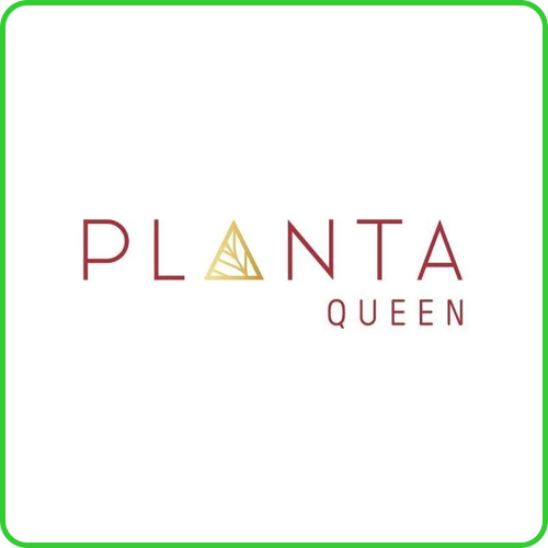 Planta Queen